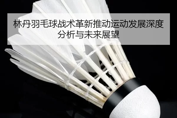 林丹羽毛球战术革新推动运动发展深度分析与未来展望
