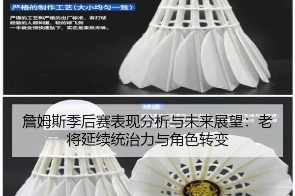 詹姆斯季后赛表现分析与未来展望：老将延续统治力与角色转变